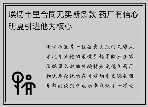 埃切韦里合同无买断条款 药厂有信心明夏引进他为核心